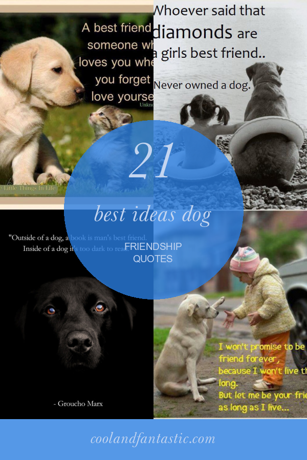 21-best-ideas-dog-friendship-quotes-home-family-style-and-art-ideas